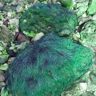 From Small Threads, Connecting All, I Build Big